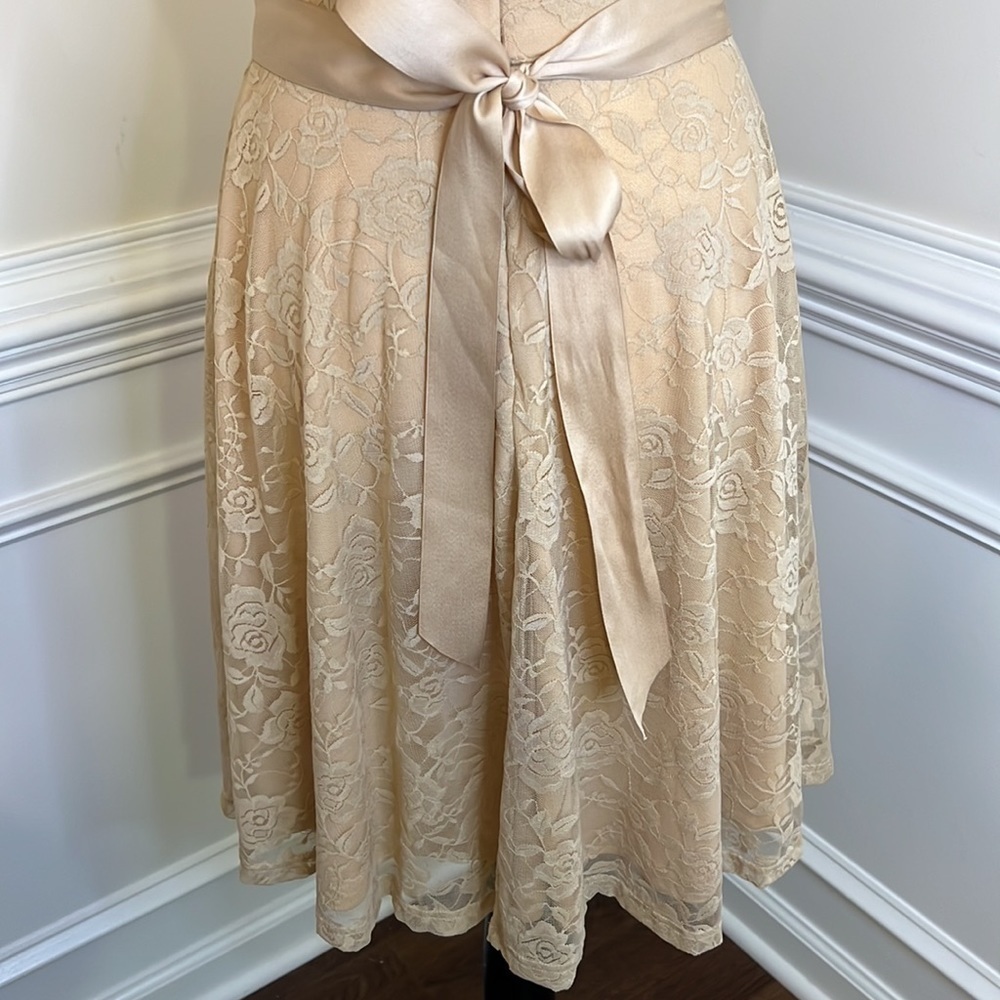Dressy Star Sleeveless Lace Floral Print A Line Dress Tan Size Small - Picture 6 of 15